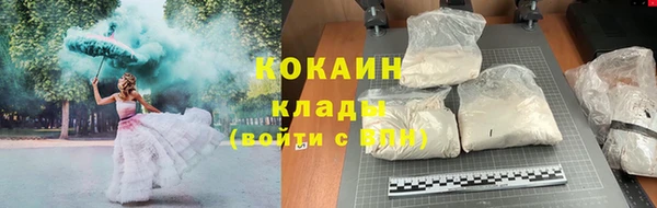 стафф Аркадак