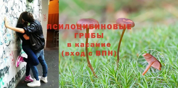 СК Армянск