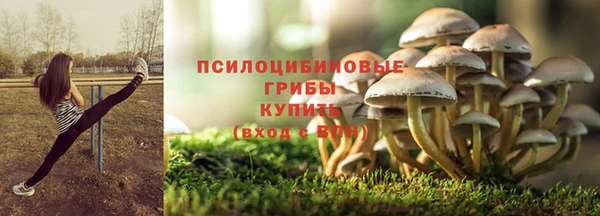 СК Армянск